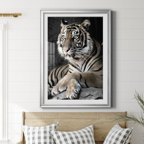 Latitude Run® Sumatran Tiger Picture Frame Photograph Wayfair